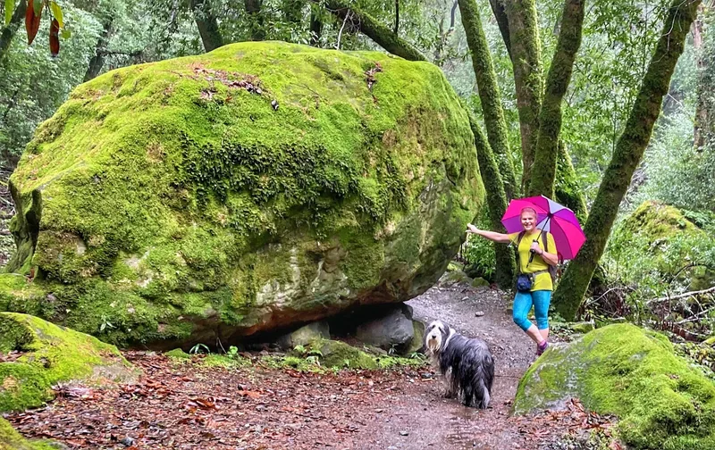 Hiking a wooded trail past a moss-covered boulder, her dog leading the way