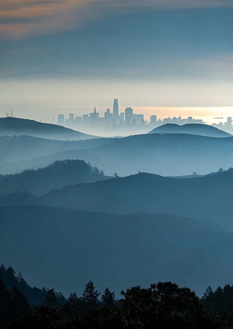The San Francisco skyline from an East Bay ridge