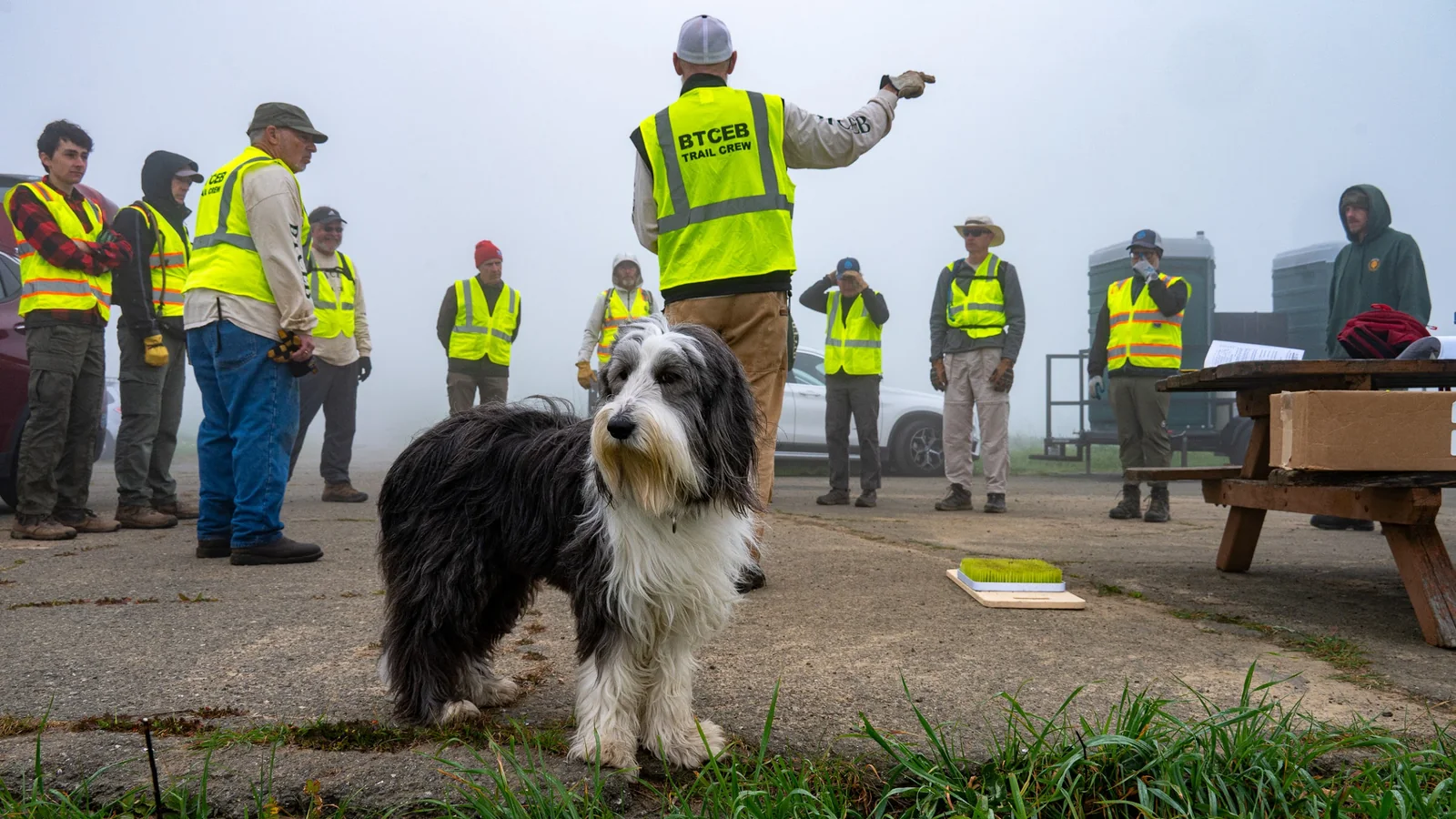 Rosie, la perra de Rebecca, con la cuadrilla de senderos de BTCEB en una mañana de niebla
